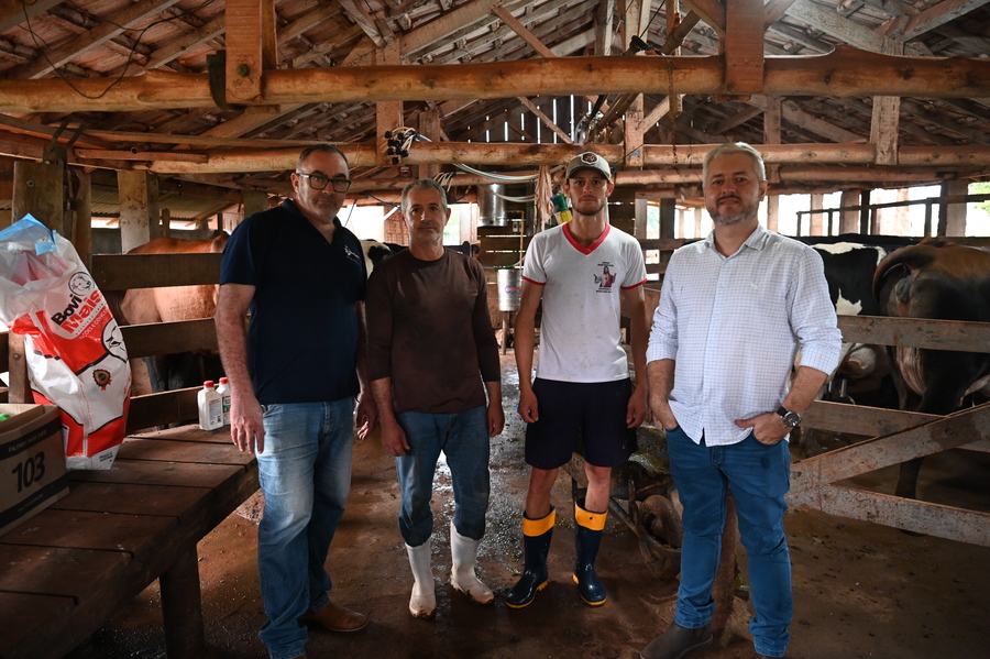 Itaquiraí é referência na pecuária leiteira e investe em melhoramento genético para fortalecer agricultura familiar