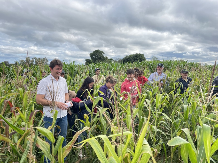 Dia de Campo levou conhecimento a produtores familiares de Itaquiraí
