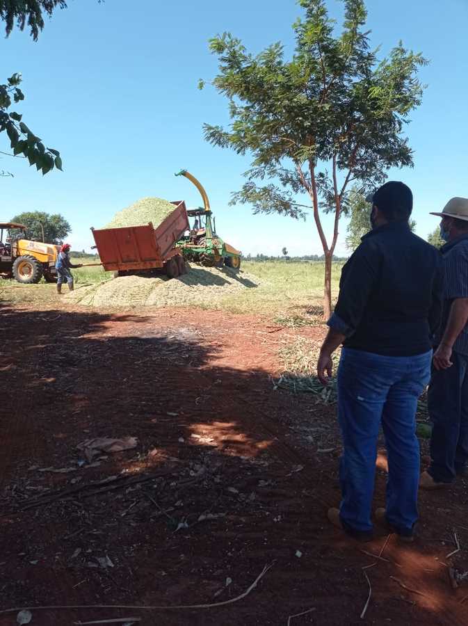 Prefeitura de Itaquiraí auxilia o pequeno agricultor na produção de silagem