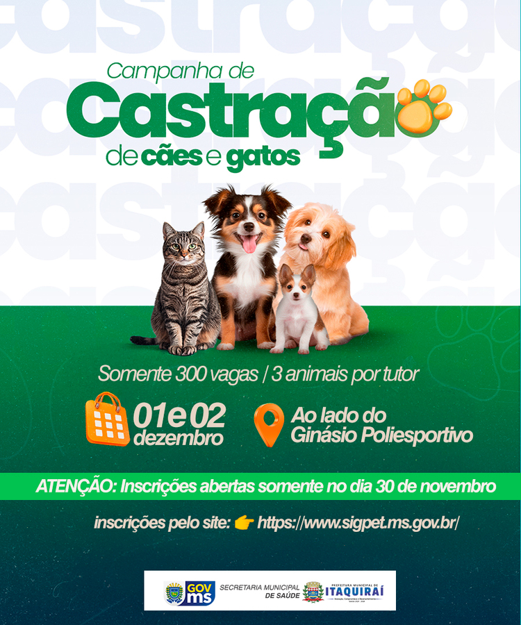 Prefeitura de Itaquiraí e Governo do Estado promovem mutirão de castração de cães e gatos nos dias 1 e 2 de dezembro