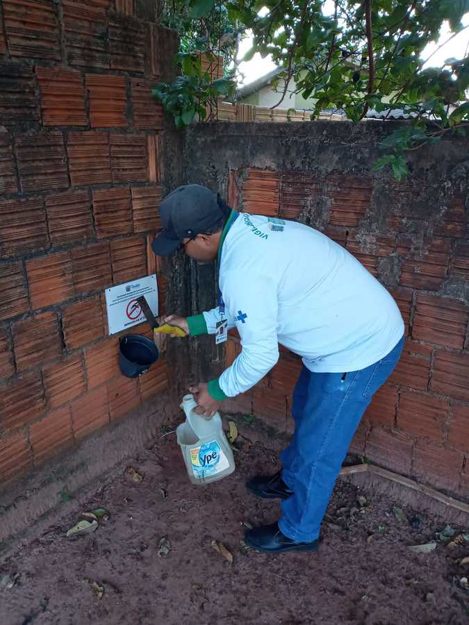 Saúde mantém Projeto Ovitrampas no combate à dengue