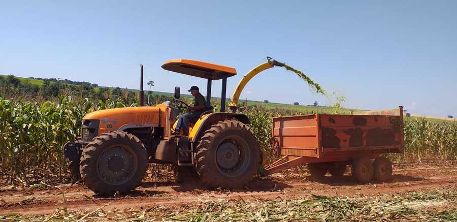 Prefeitura de Itaquiraí investe na agricultura familiar