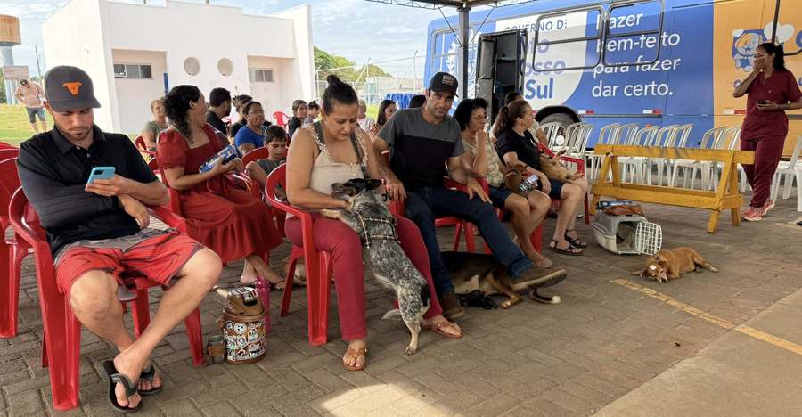 Campanha de Castração garante atendimento a 280 animais em Itaquiraí