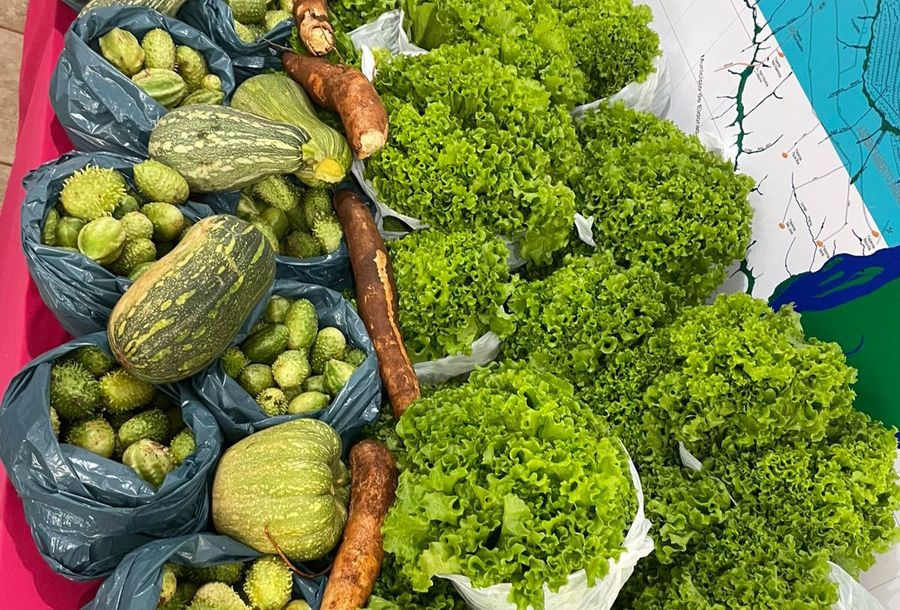 Secretaria de Assistência Social já entregou cerca de 7 toneladas de alimentos do PAA no início de 2026