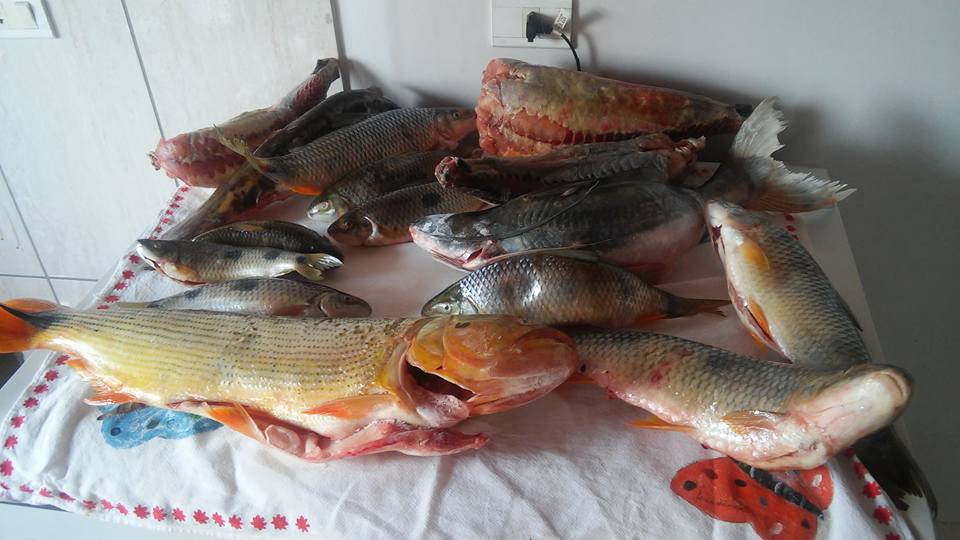 Itaquipesca 2017 realiza ações sociais com doação de parte de arrecadação à entidades; atividades ambientais também marcaram o evento