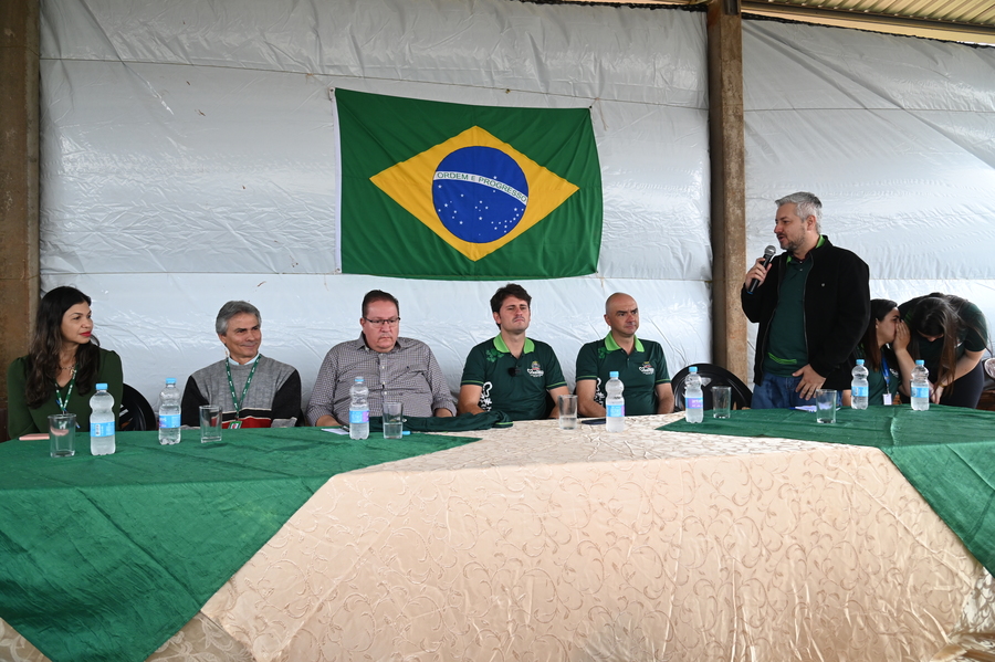 Divulgação