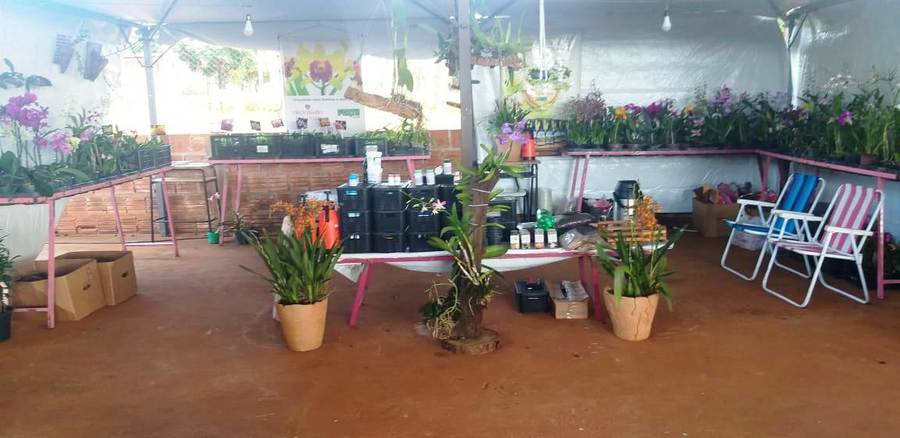 Artesanato de Itaquiraí é destaque na 1ª Feira da Agricultura Familiar de Iguatemi