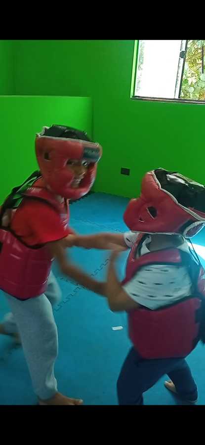 Divulgação