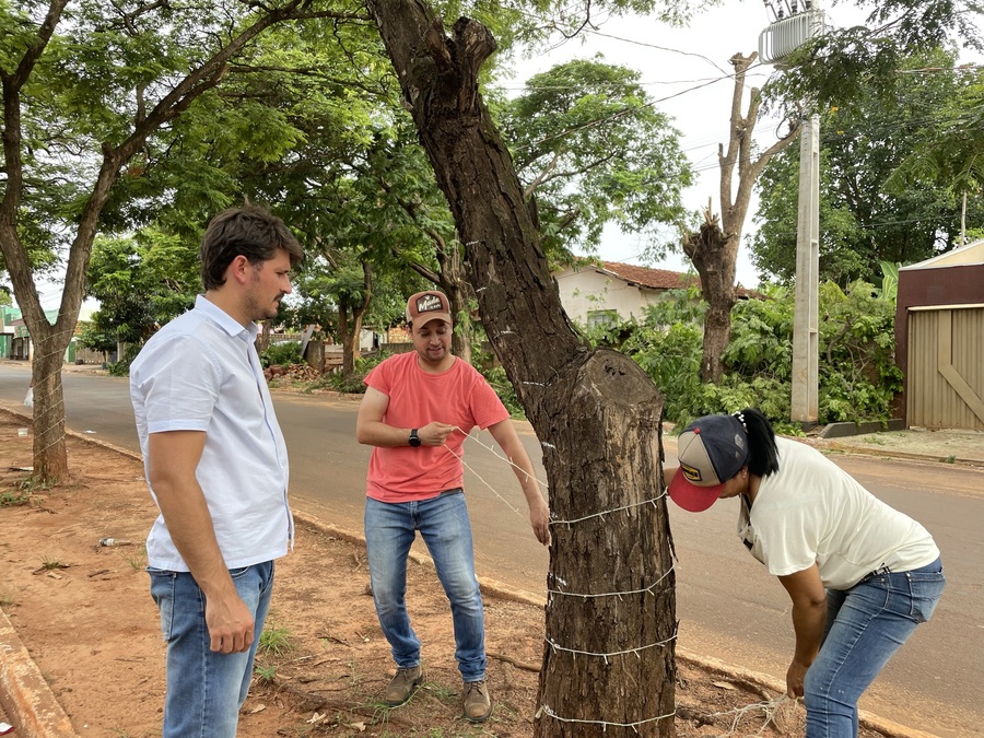 Divulgação