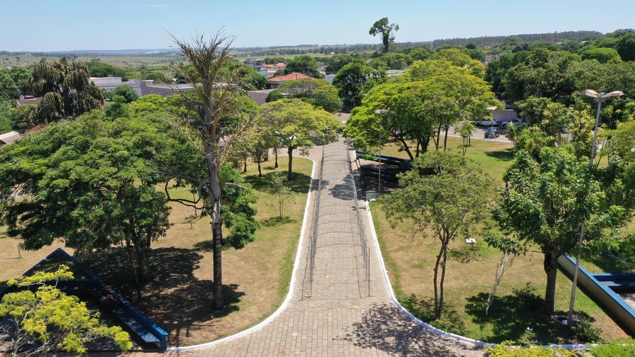 Divulgação