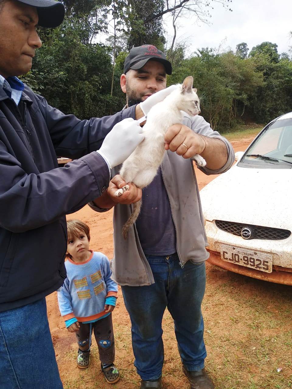 Visa de Itaquiraí vacina 2.753 cães e gatos em campanha antirrábica na zona rural
