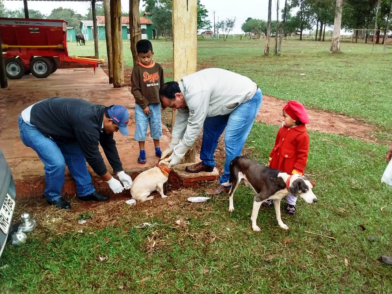 Visa de Itaquiraí vacina 2.753 cães e gatos em campanha antirrábica na zona rural