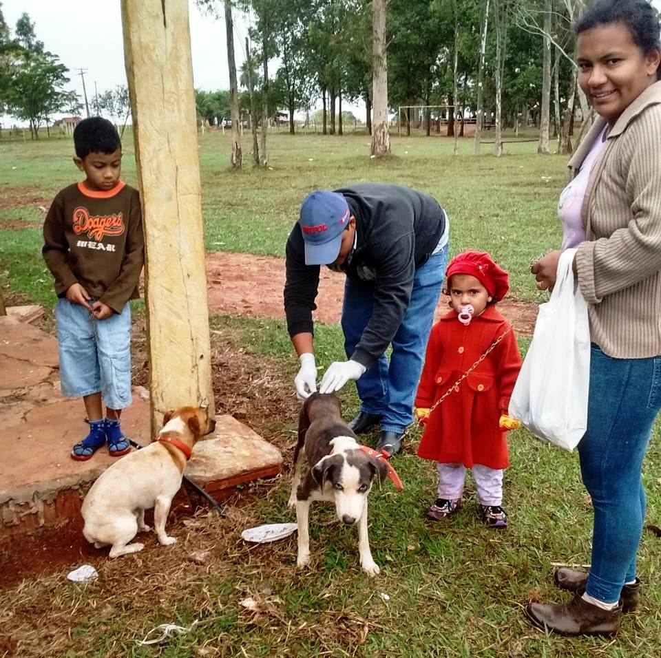 Visa de Itaquiraí vacina 2.753 cães e gatos em campanha antirrábica na zona rural