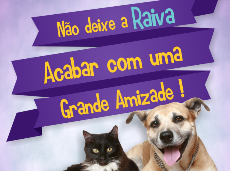 Vigilância Sanitária define cronograma para a vacinação de cães e gatos na zona rural
