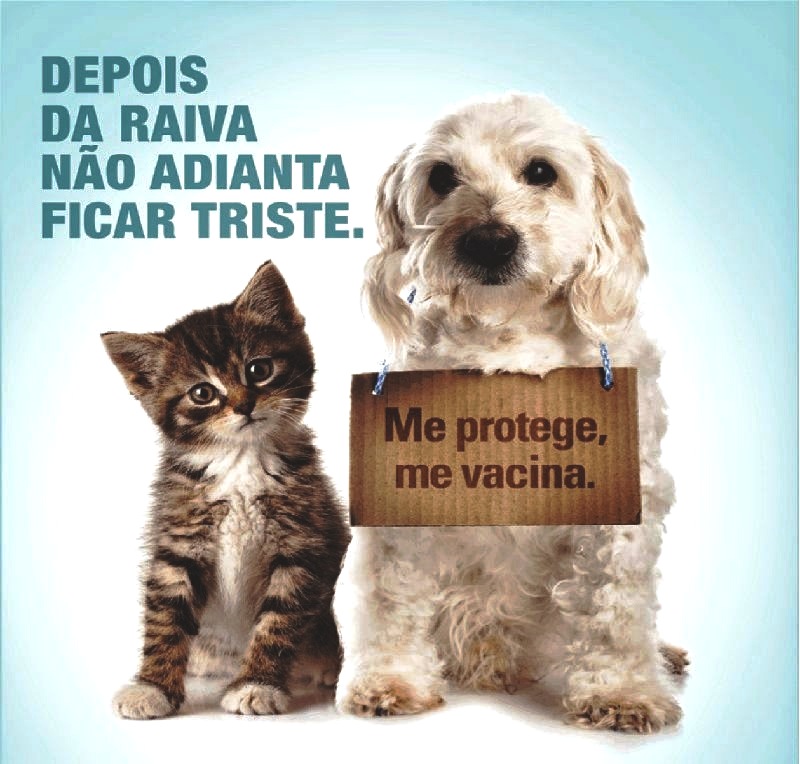 Vigilância Sanitária define cronograma para a vacinação de cães e gatos na zona rural