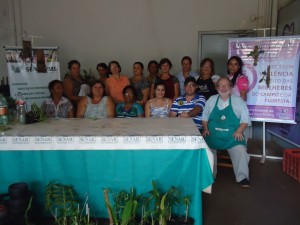 Curso Cultivo de Orquídeas foi finalizado em Itaquiraí
