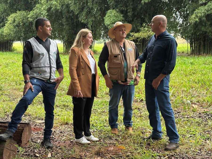 Semana do Meio Ambiente é marcada por ações e conscientização em Itaquiraí