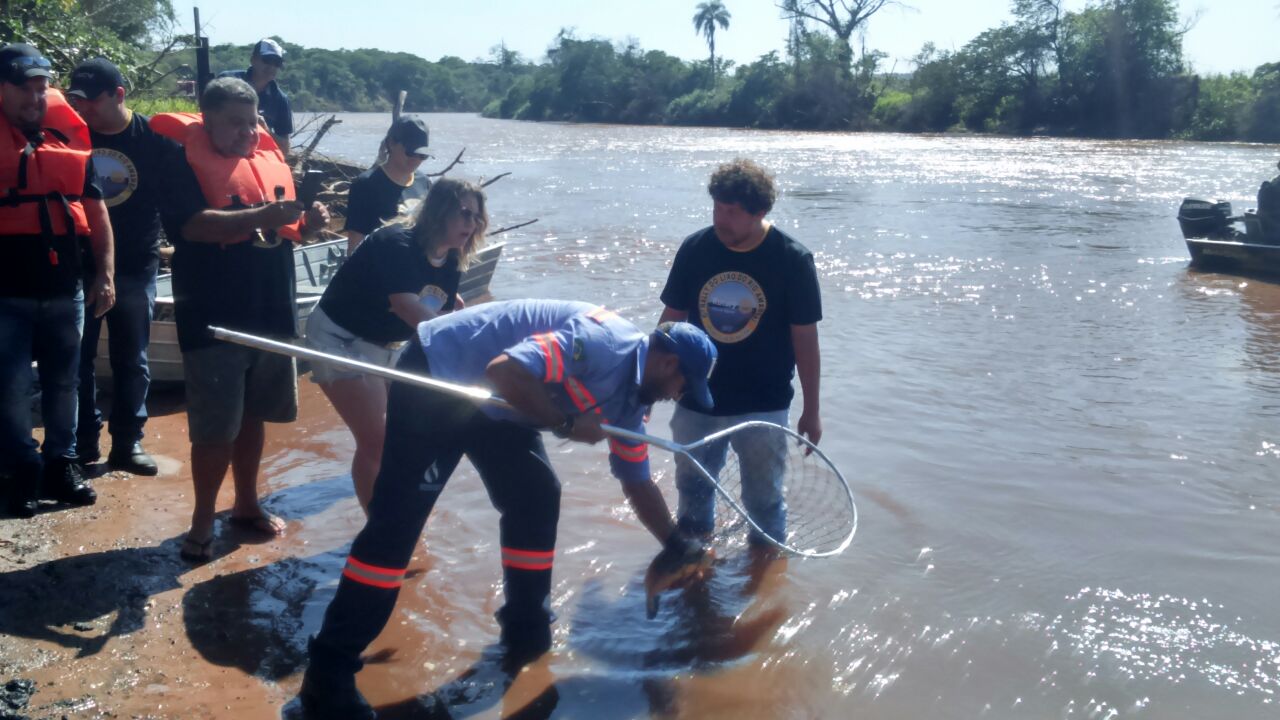 Prefeituras de Itaquiraí e Naviraí, e Rotary de Naviraí realizam com sucesso o Rally do Lixo no rio Amambai