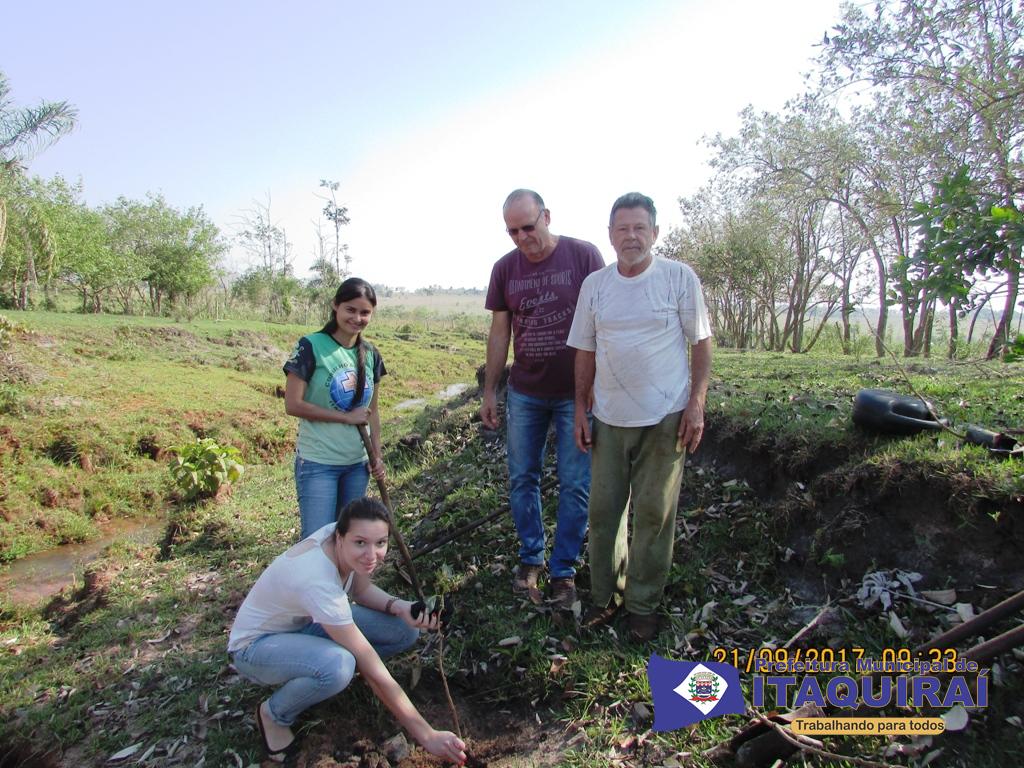 Meio Ambiente da Prefeitura de Itaquiraí planta mudas de ingá em comemoração ao Dia da Árvore e no combate à erosão