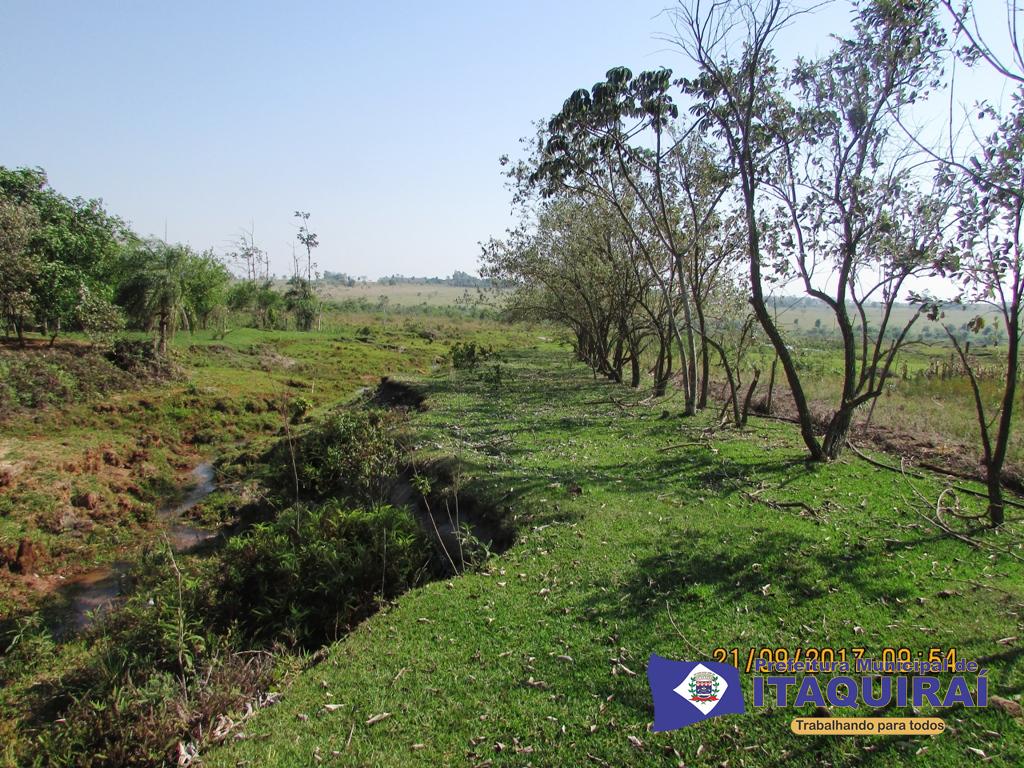 Meio Ambiente da Prefeitura de Itaquiraí planta mudas de ingá em comemoração ao Dia da Árvore e no combate à erosão