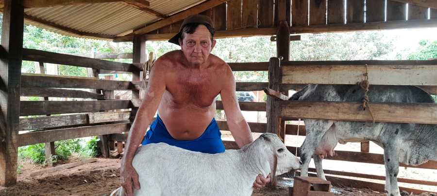 Divulgação