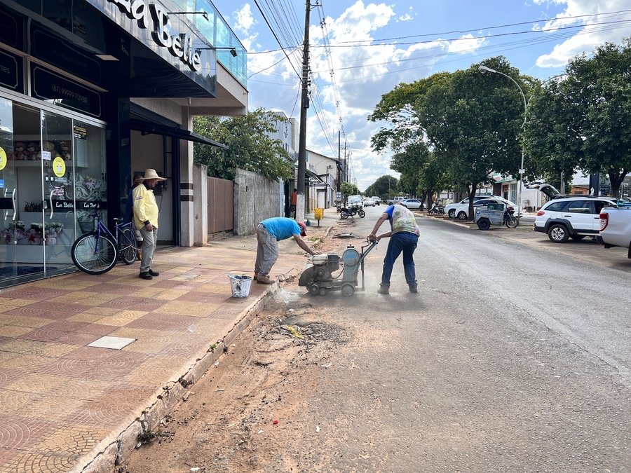 Divulgação