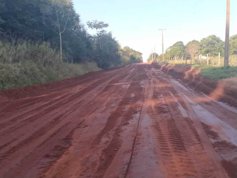 Divulgação