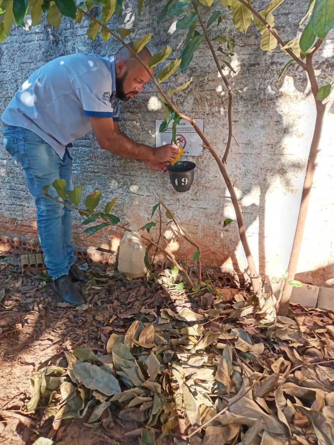 Divulgação