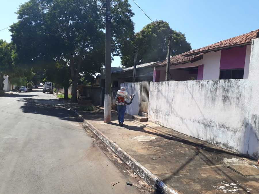 Divulgação