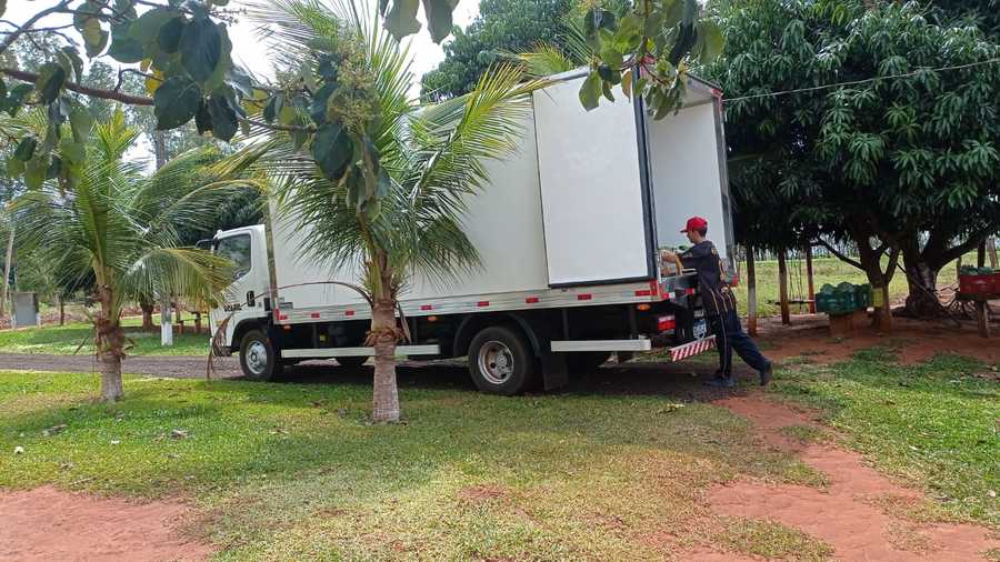 Divulgação
