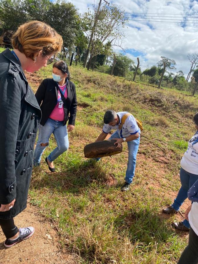Prefeitura amplia ações preventivas contra o mosquito Aedes Aegipty