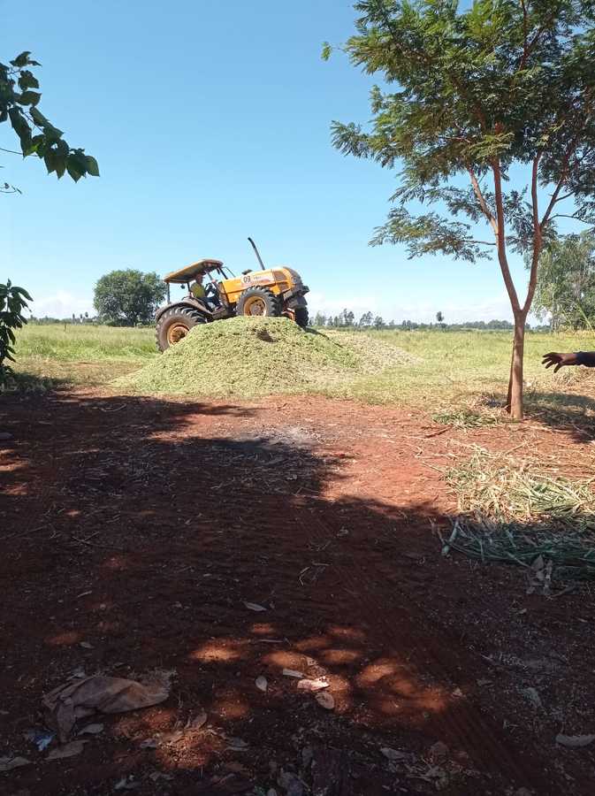Divulgação