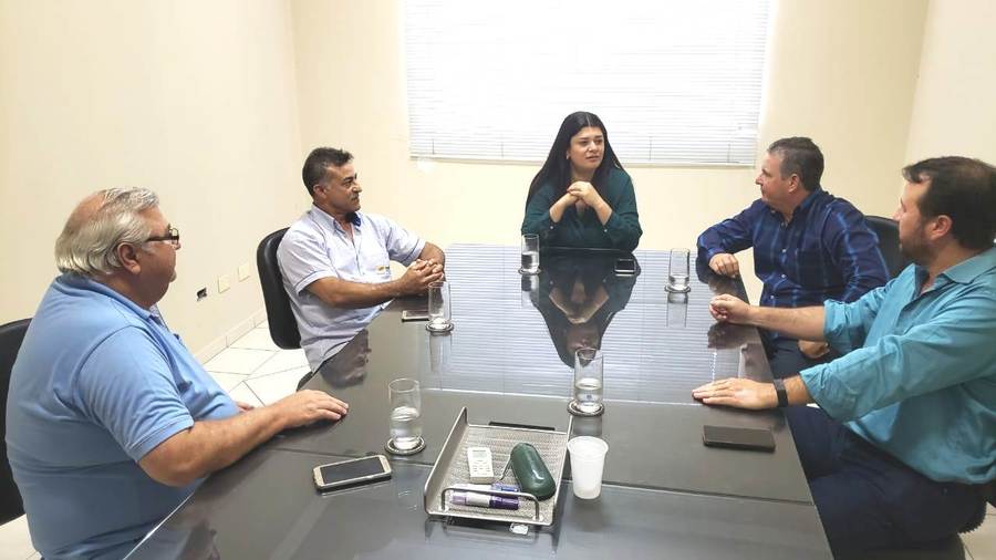Deputada federal Rose Modesto (ao centro), ouve explanações do vereador Ney Portela e do vice-prefeito Mano. Audiência contou com a participação do líder rural Renaldo Silva e do administrador Carlos Simon.