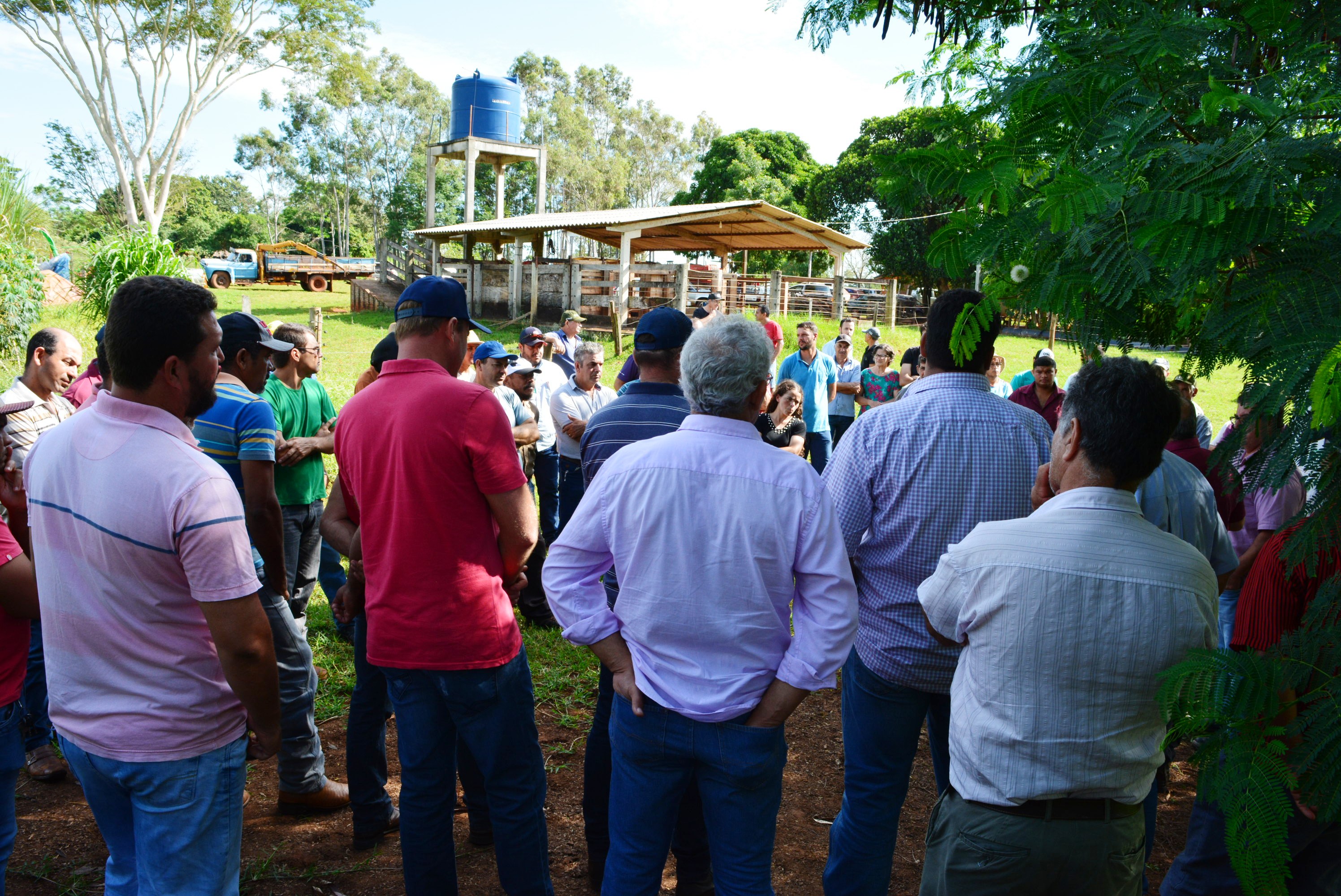 Em “Café com o produtor” Prefeitura de Itaquiraí apresenta o sucesso dos capins capiaçu e kurumi