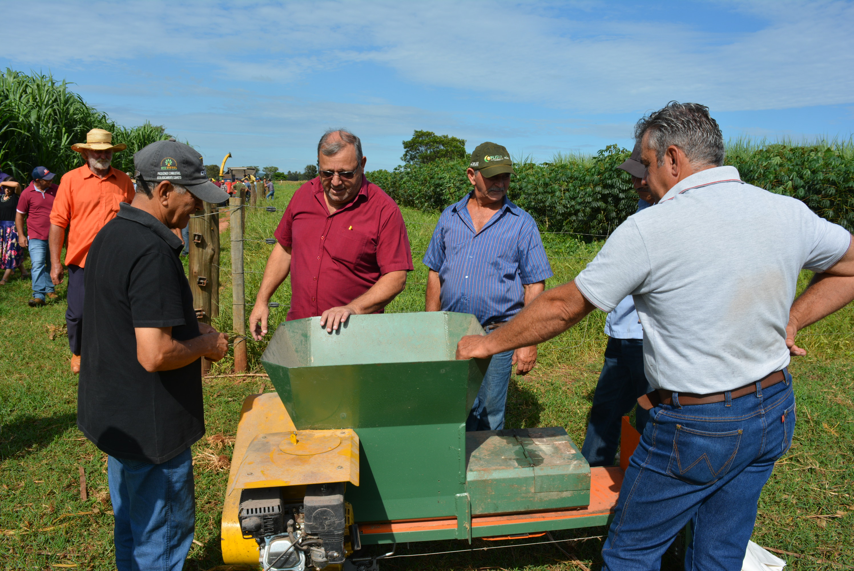 Em “Café com o produtor” Prefeitura de Itaquiraí apresenta o sucesso dos capins capiaçu e kurumi