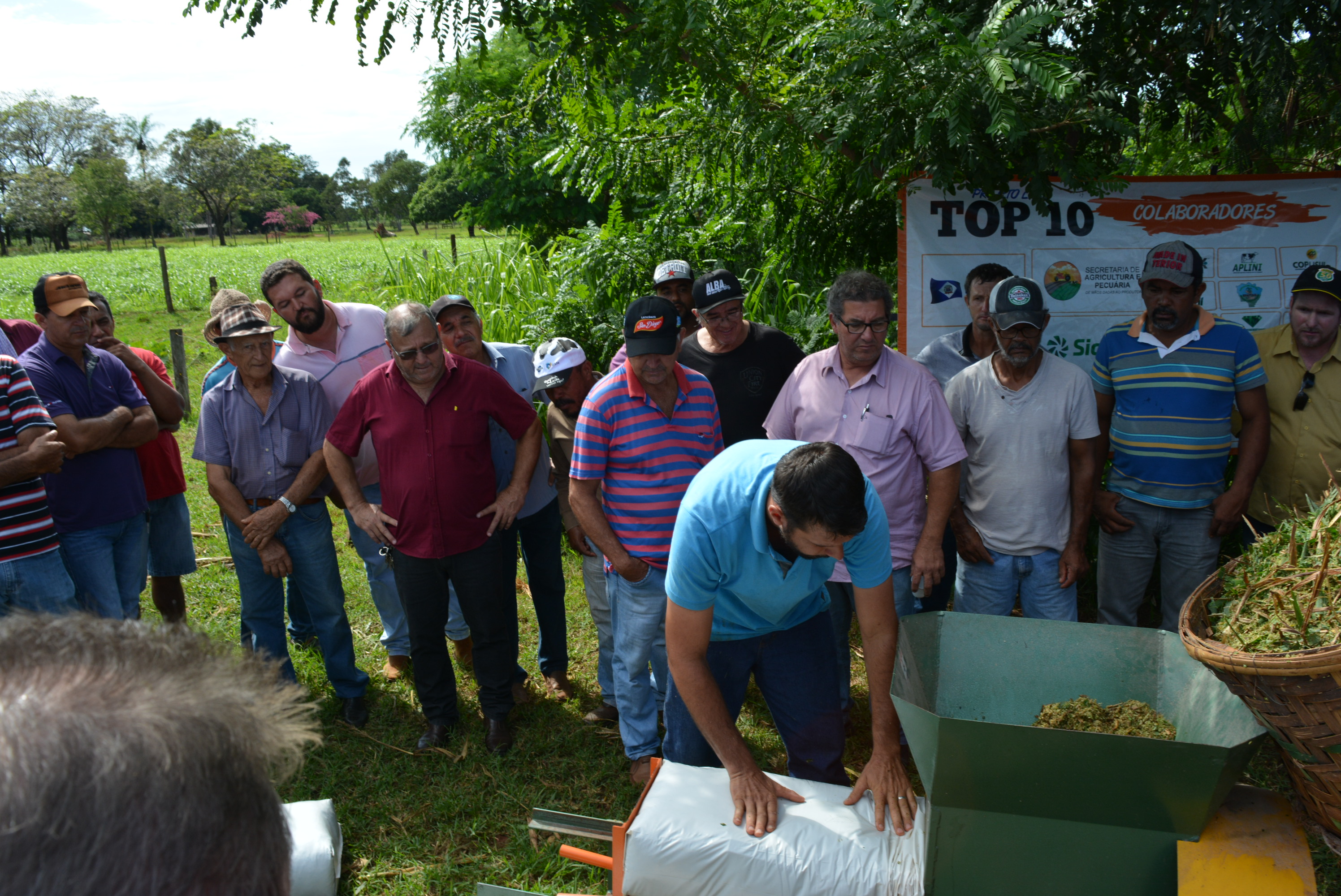 Em “Café com o produtor” Prefeitura de Itaquiraí apresenta o sucesso dos capins capiaçu e kurumi