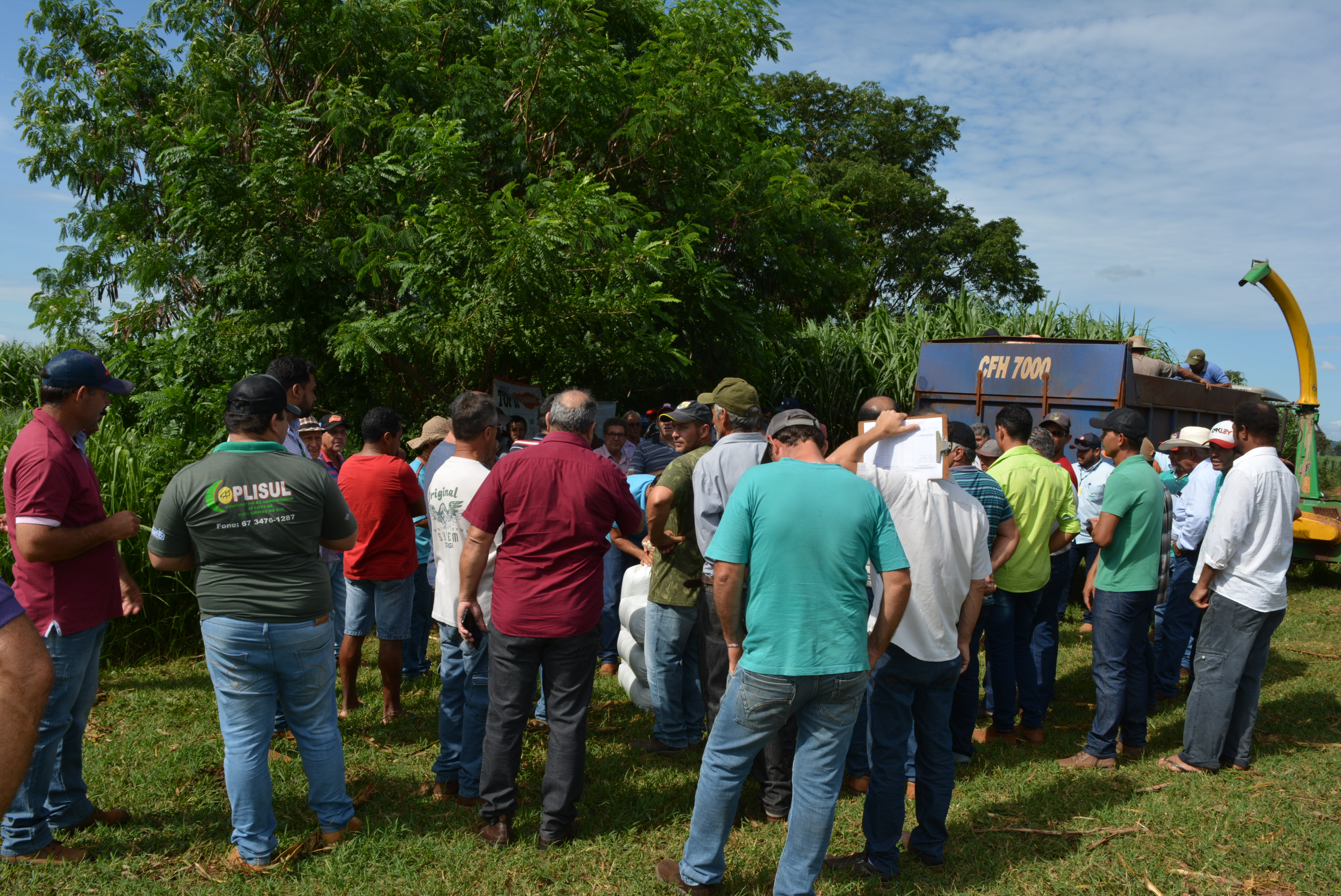 Em “Café com o produtor” Prefeitura de Itaquiraí apresenta o sucesso dos capins capiaçu e kurumi