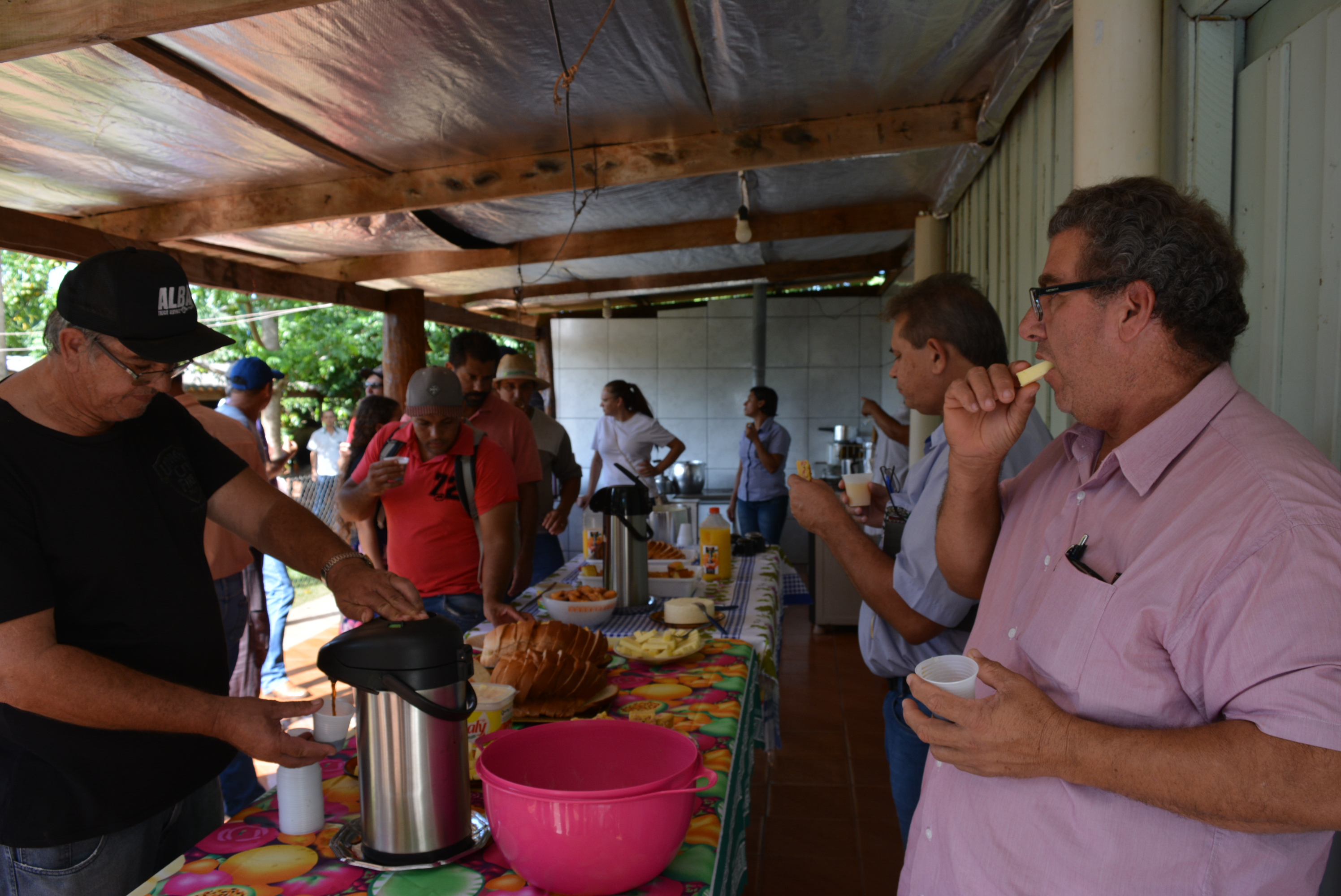 Em “Café com o produtor” Prefeitura de Itaquiraí apresenta o sucesso dos capins capiaçu e kurumi