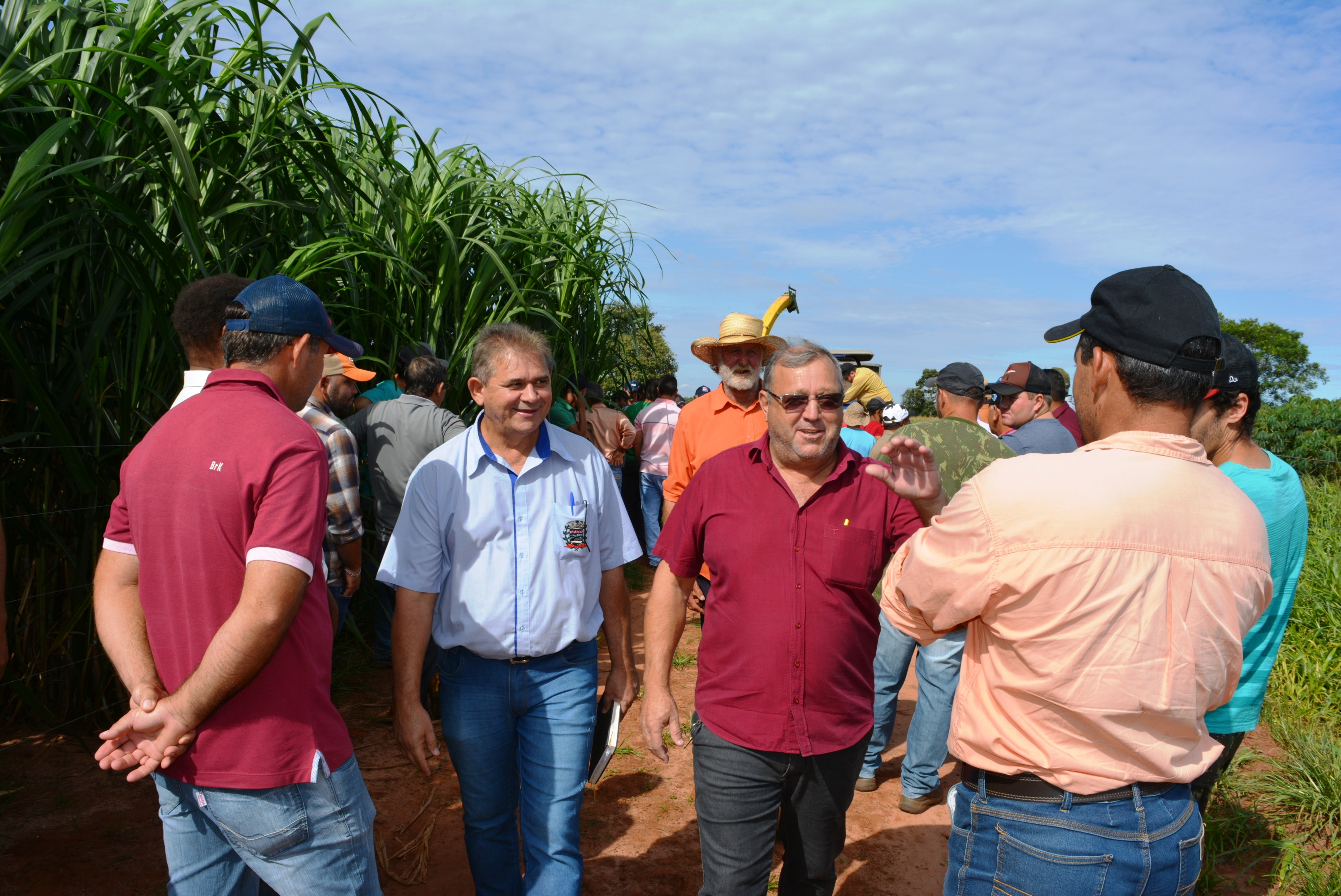 Em “Café com o produtor” Prefeitura de Itaquiraí apresenta o sucesso dos capins capiaçu e kurumi