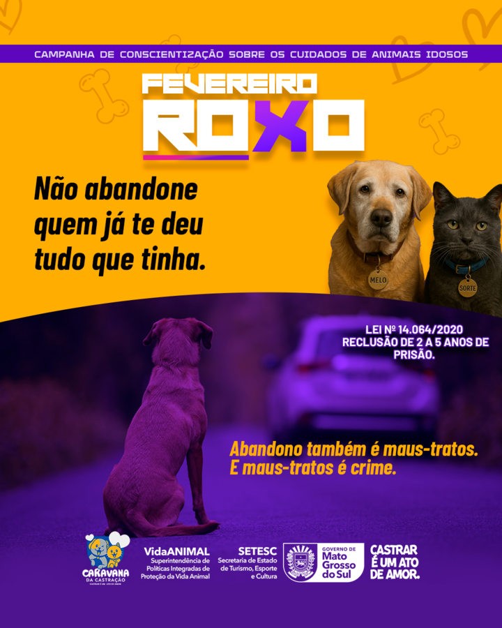 Center fevereiro roxo