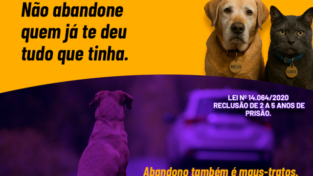 Thumb fevereiro roxo